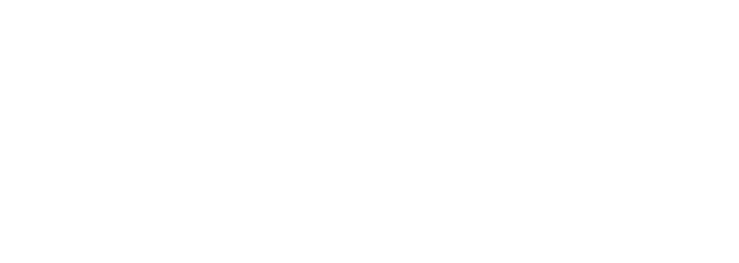 Vivalis official